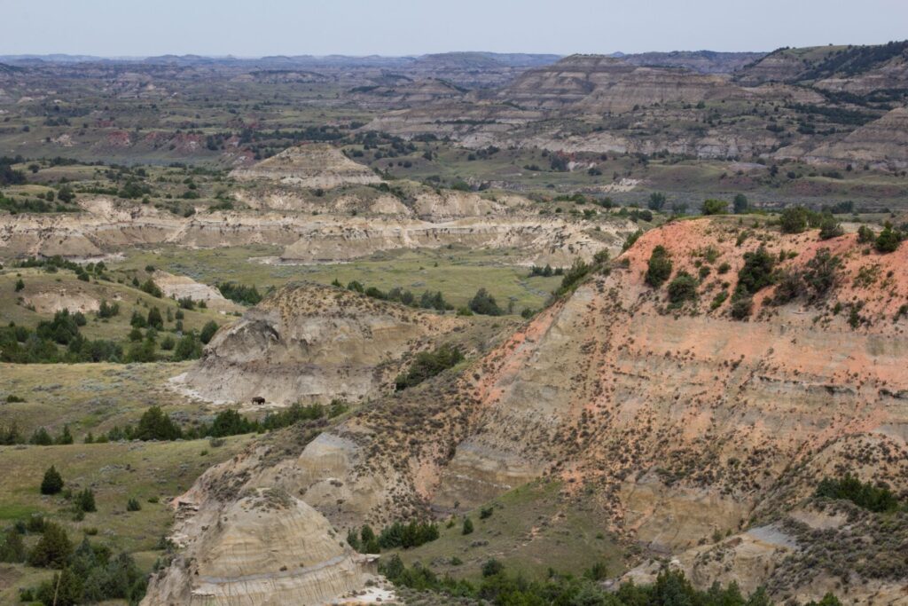 Theodore Roosevelt National Park