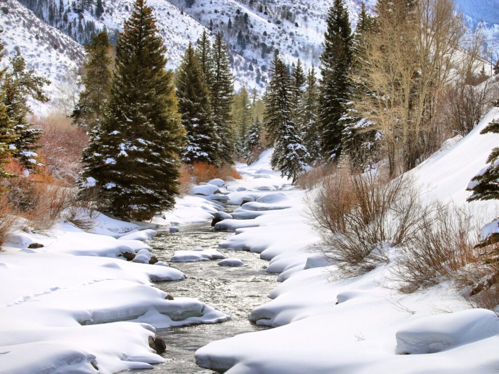 Snowstorm while RV camping in Colorado