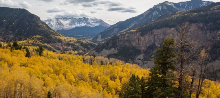 Autumn foliage in the San Juan National Forest - a great place for RV camping in Colorado