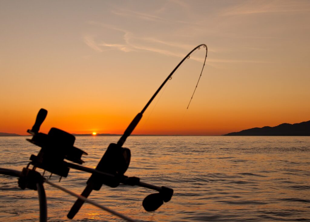 fishing cane in a lake at sunset
