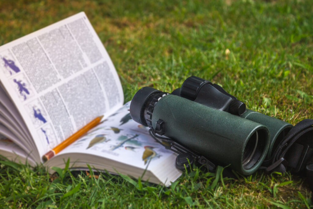 Binoculars and bird guide