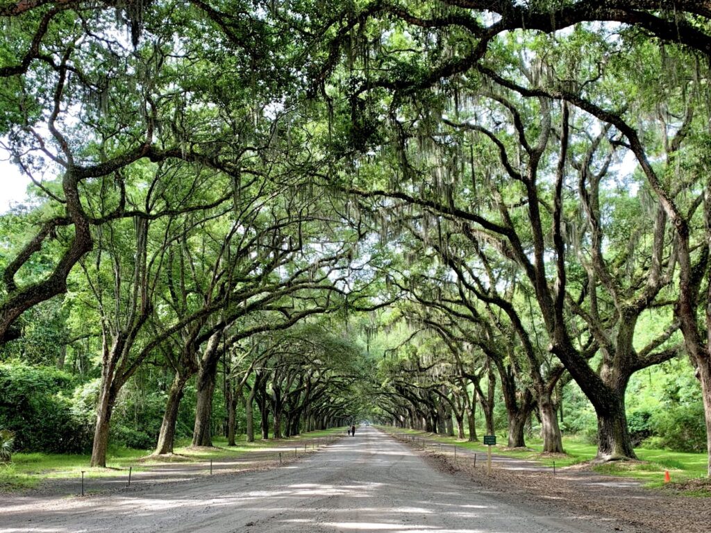 Road in Georgia