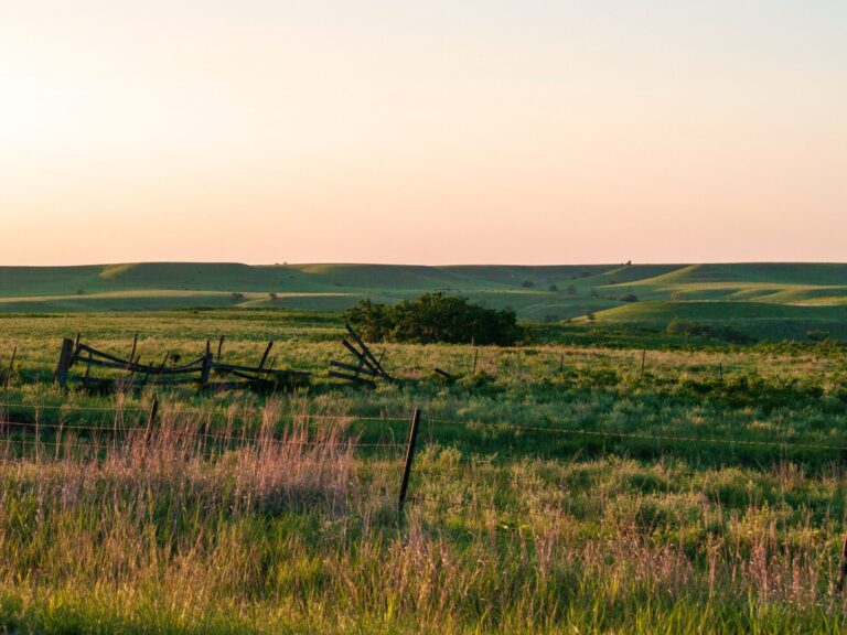 Beautiful view of a lush field while RV camping in Kansas