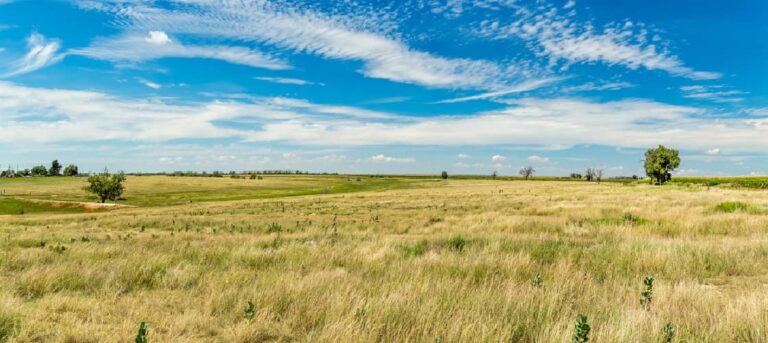 You'll see lots of grasslands while RV camping in Kansas