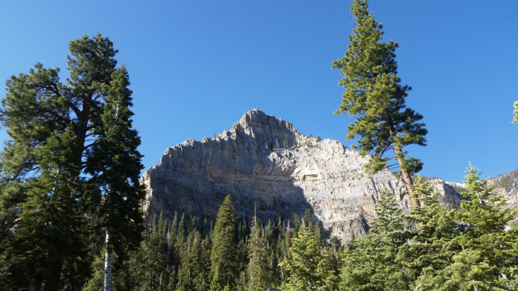 view of mount charleston