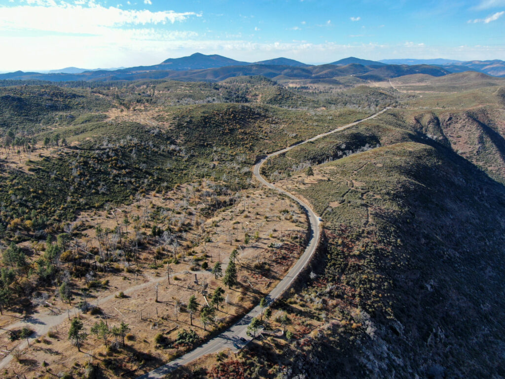 road through Cleveland forest 