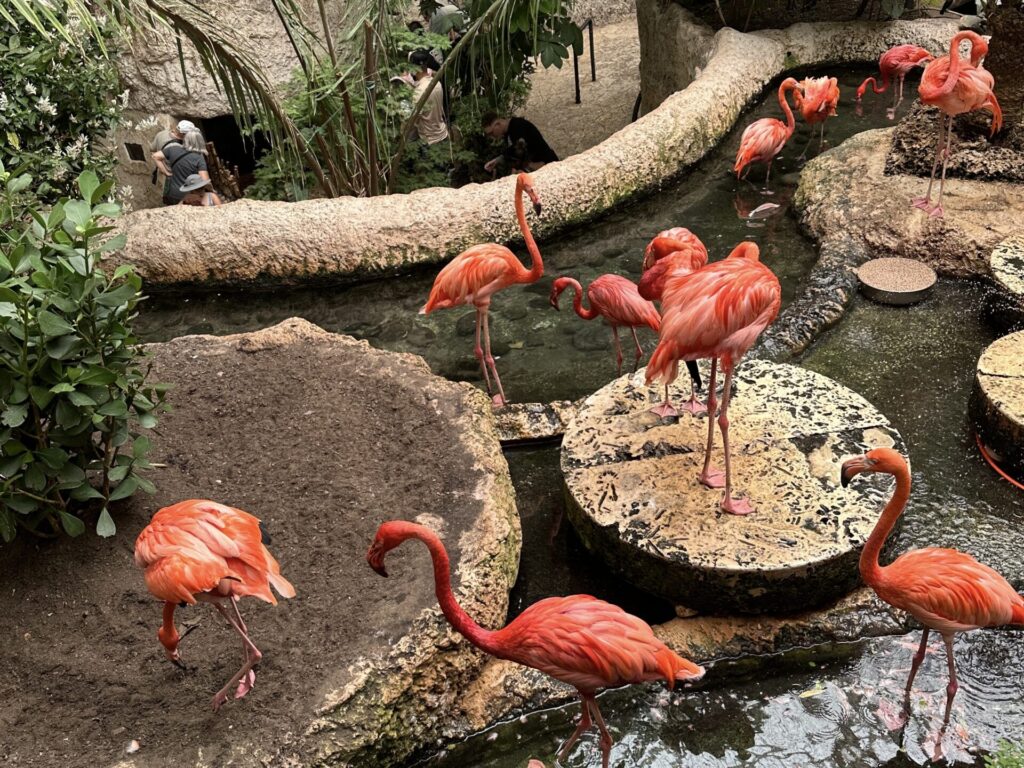 Dallas hidden gems: Dallas World Aquarium