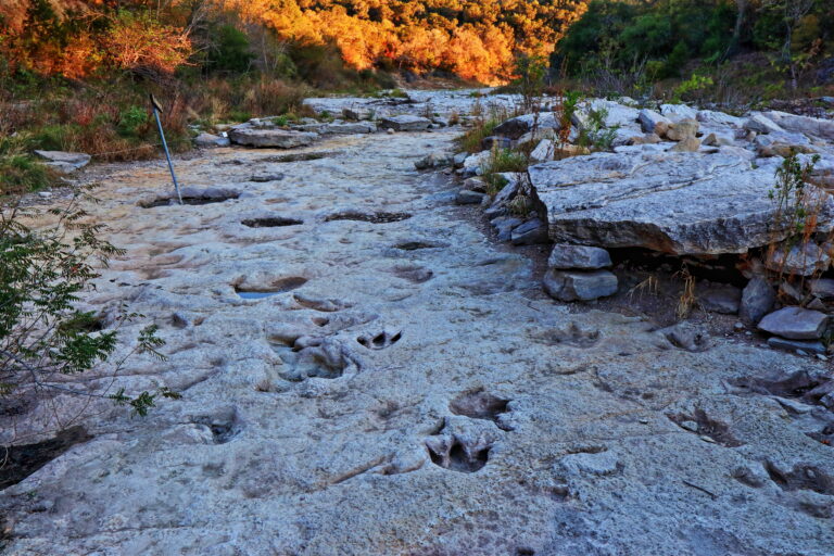 Fossilized dinosaur tracks line the dry Paluxy Riverbed in the Dinosaur Valley State Park near Glen Rose, Texas