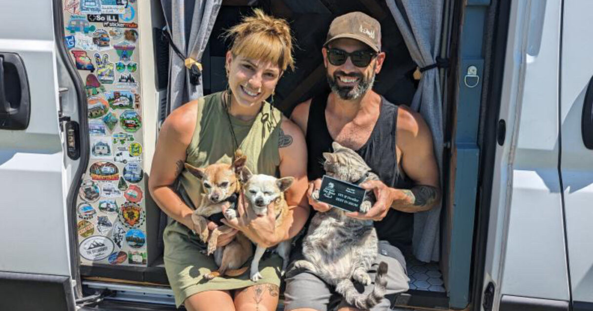a couple sitting in front of campervan with pets