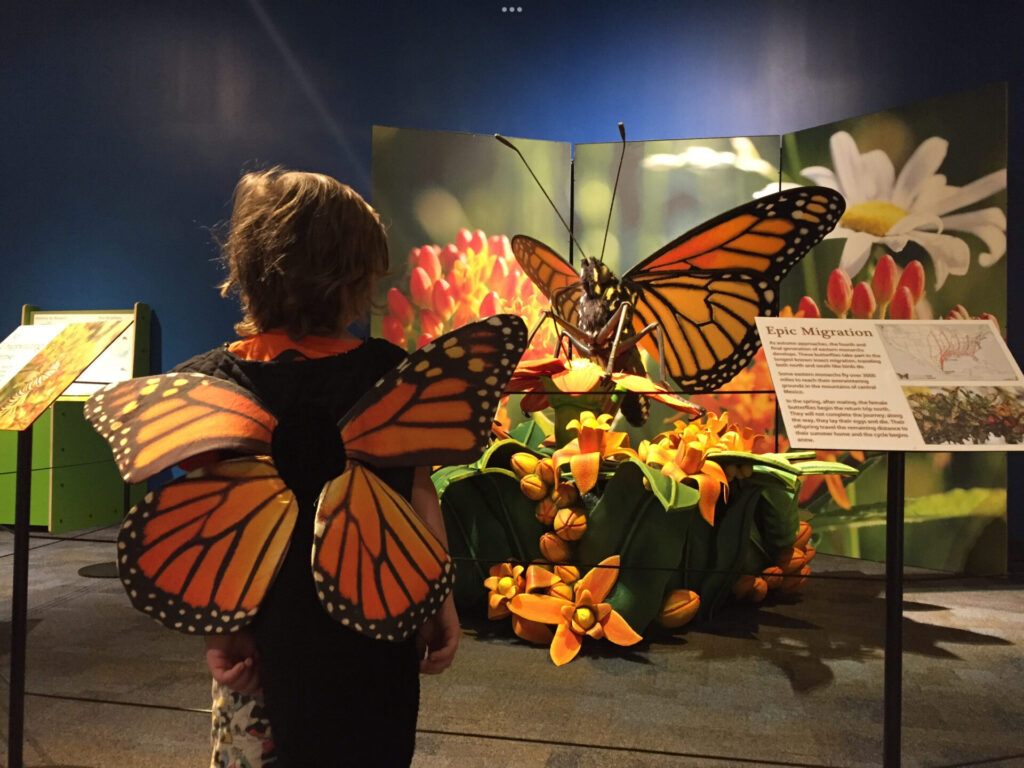 Boy playing at Science Museum Oklahoma, one of the best Oklahoma attractions