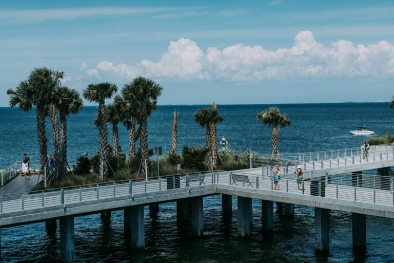 Coastal boardwalk with palm trees and an ocean view in St. Petersburg, FL