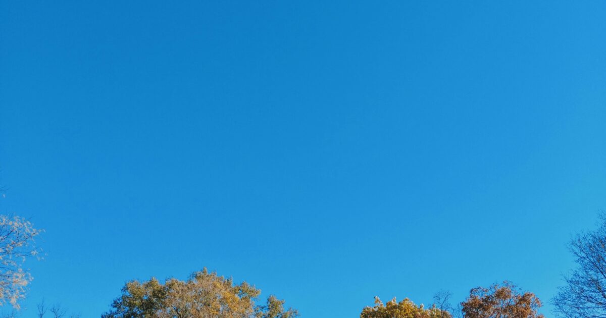 Autumn trees under a deep blue sky in Indiana