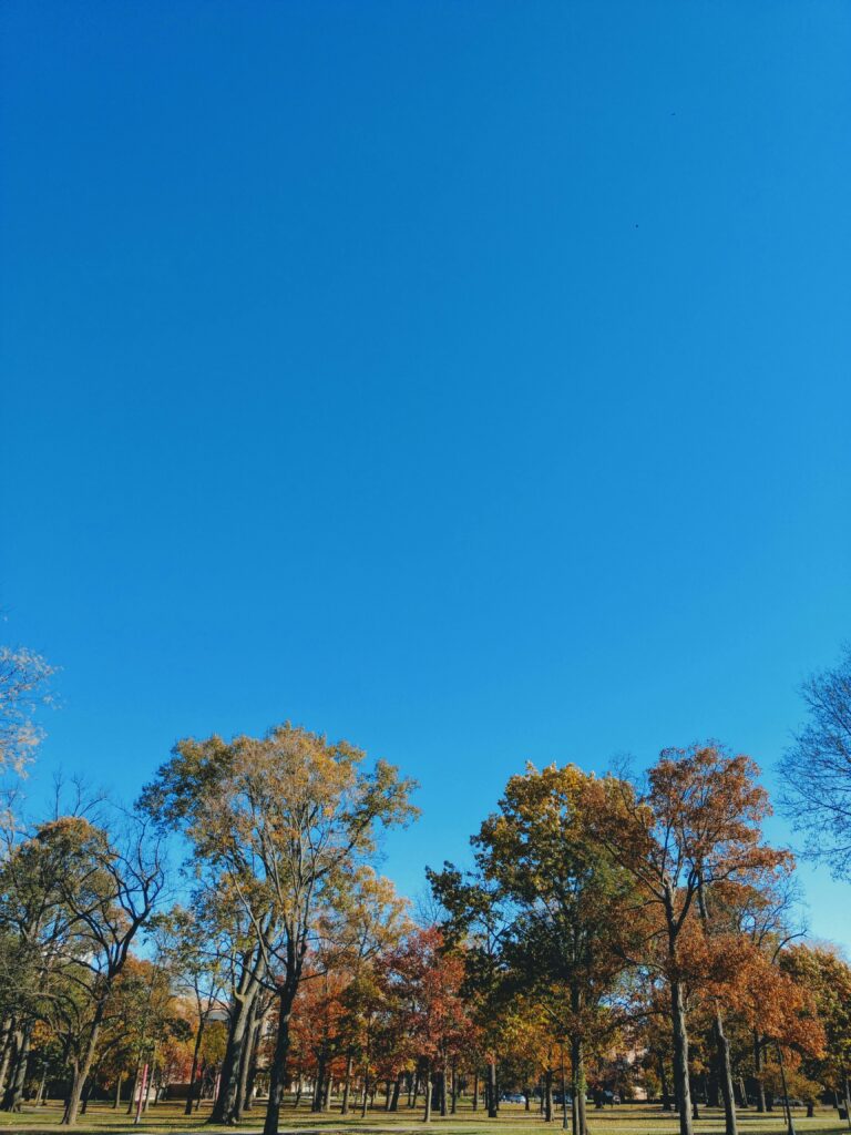 Autumn trees under a deep blue sky in Indiana