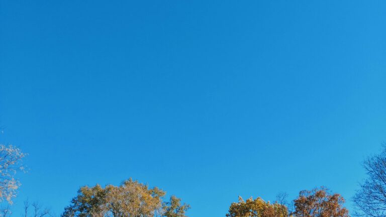 Autumn trees under a deep blue sky in Indiana