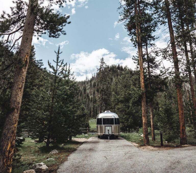 Airsteam RV parked in trees