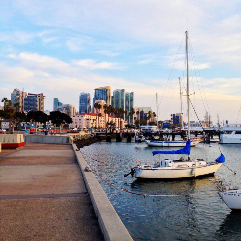 Waterfront view of San Diego skyline with sailboats docked in foreground, palm trees and high-rise buildings in background.