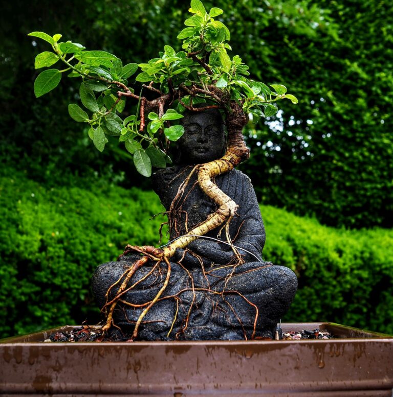 A young tree adorns a serene gray stone Buddha with gorgeous greenery in Cleveland's Rockefeller Park Greenhouse.