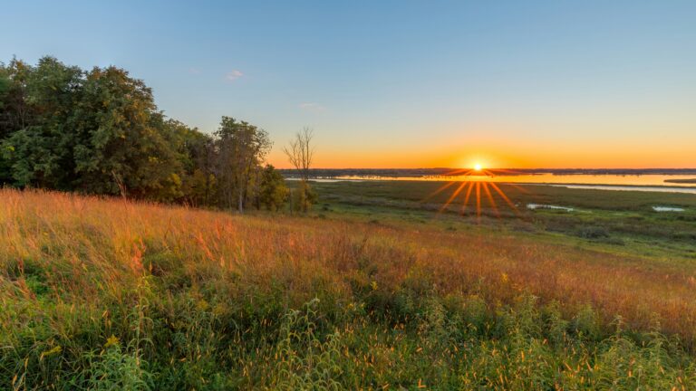 The sun setting over a grassy field with a body of water in the background