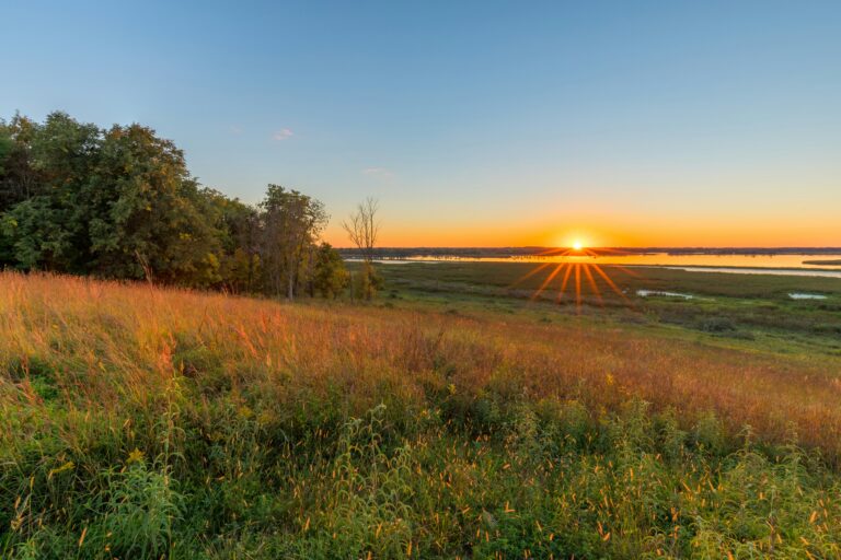 The sun setting over a grassy field with a body of water in the background