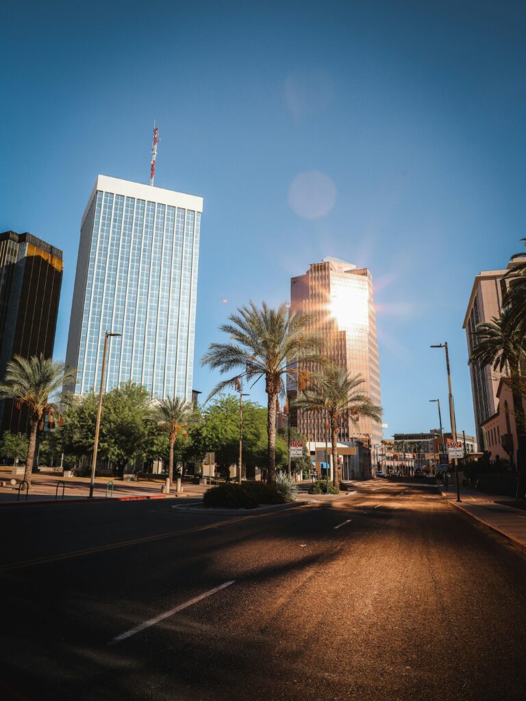 A downtown Tucson street with palm trees and tall buildings