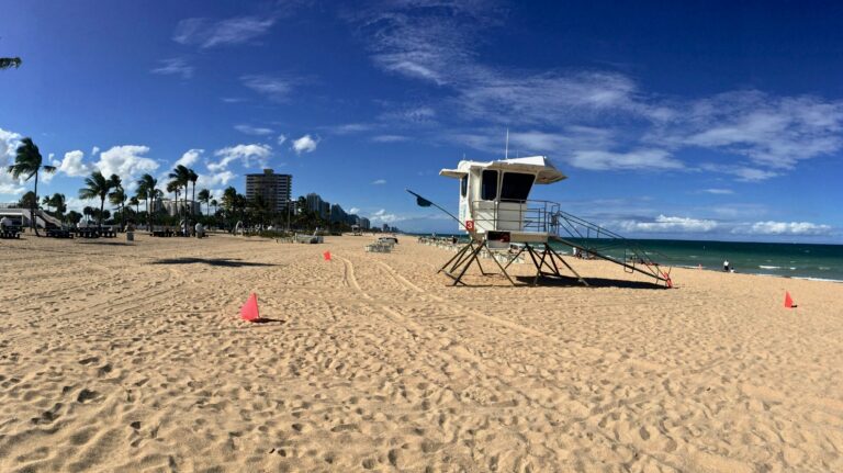 A white lifeguard tower sits on a sandy beach with palm trees, city buildings, and the ocean in the background