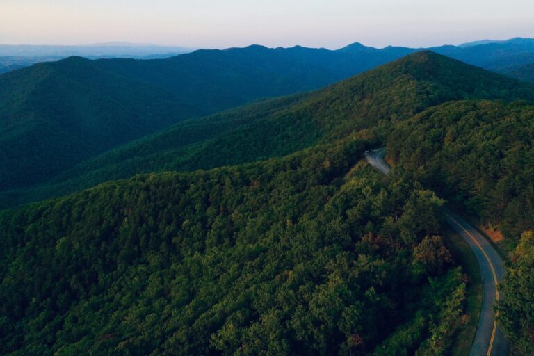 An empty road winds through tree-covered mountains