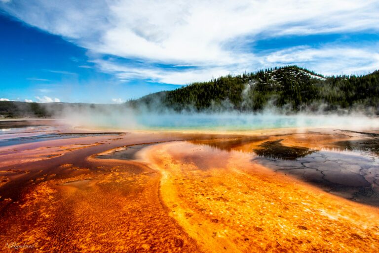 Colorful hot spring in Yellowstone National Park surrounded by mountains and pine trees.