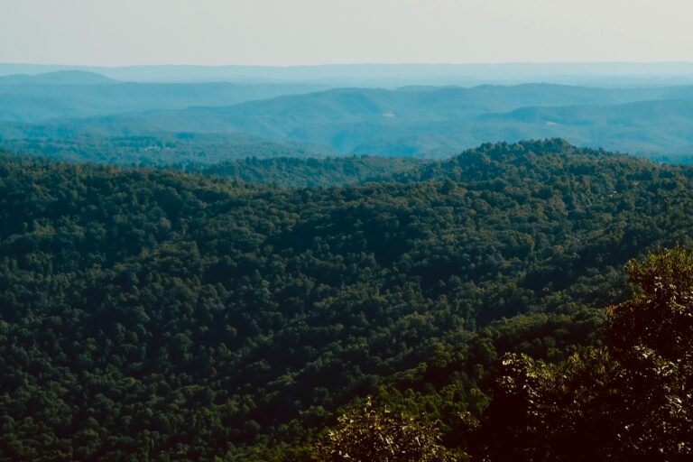 View of the rolling green tree-covered hillsides in West Virginia from a high point