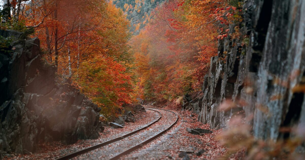 Railroad tracks wind through a colorful fall forest