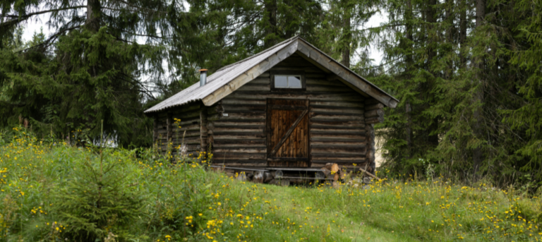 A brown cabin in the woods