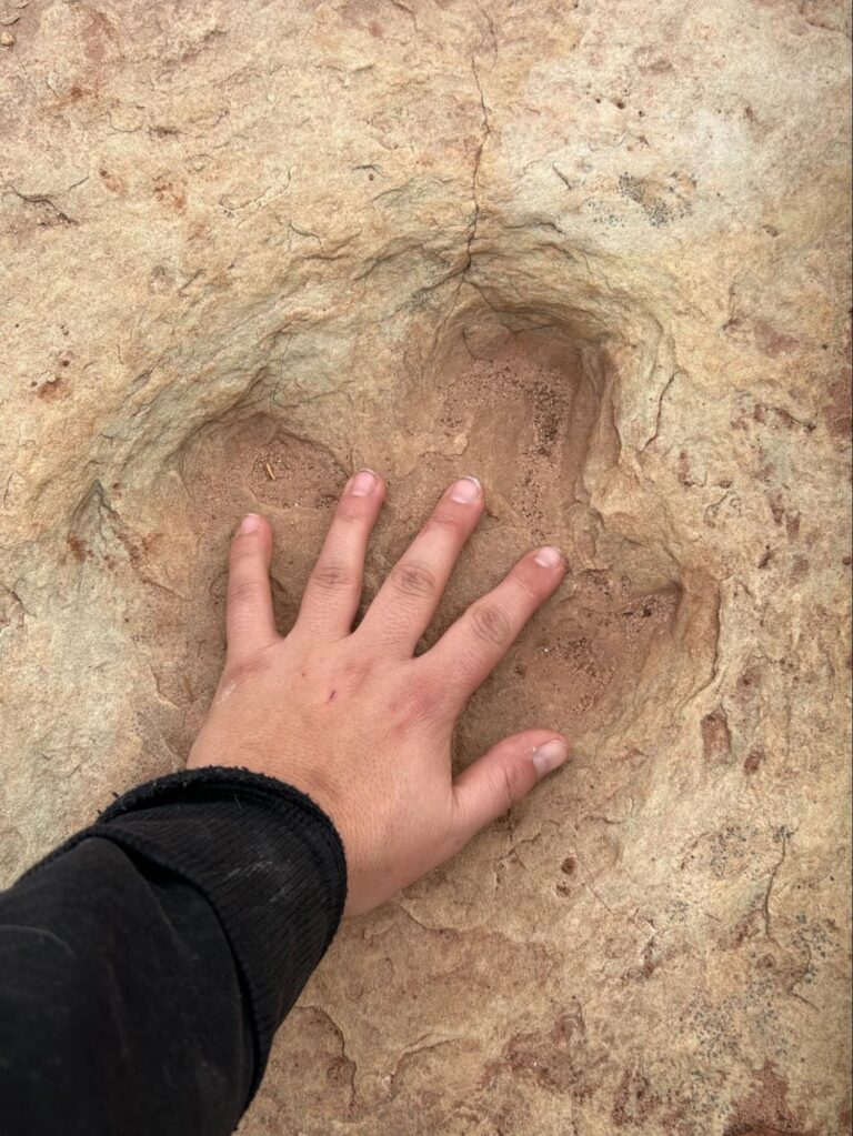 An arm wearing a black sweatshirt can be seen with their hand placed into the center of a three-toed dinosaur track in dried, red, sandstone.