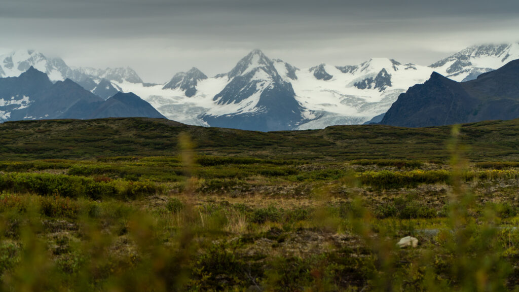 view of the mountains from the denali highway 