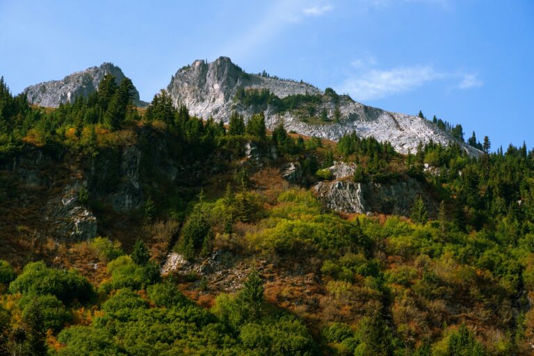 A mountain above a vista of multicolored trees and brush in the foreground.