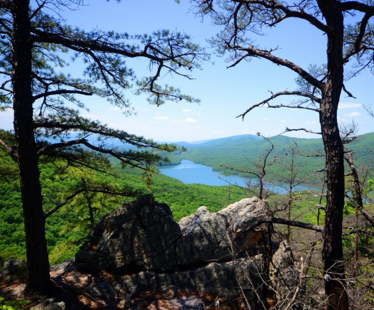 Lush green trees cover a mountainous landscape with a body of water in the background under a clear blue sky.