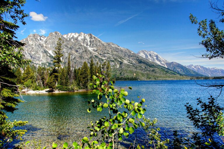 A lake surrounded by a forest and snow-capped mountains in the distance.