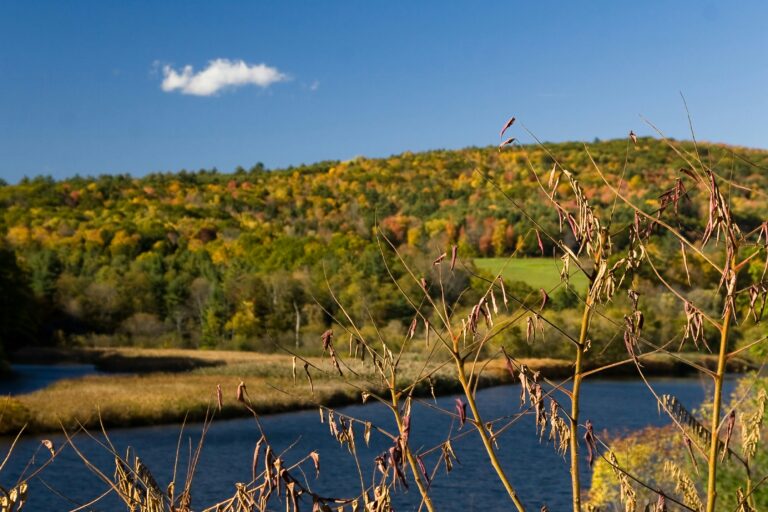 Multicolored fall foliage covers a hill by a river with a single cloud in the sky.