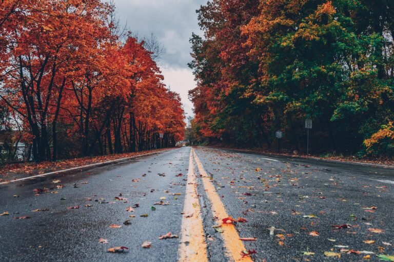 A closeup view of a two-lane road covered in fallen leaves with lush, colorful trees on either side