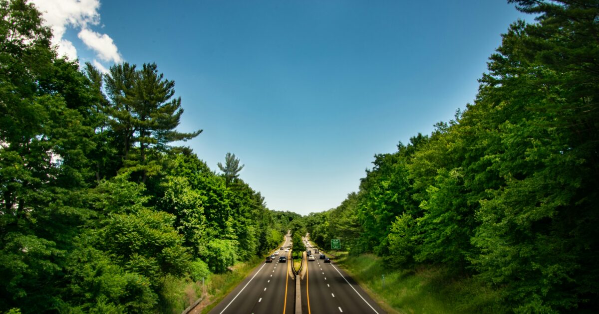 Four freeway lanes with light traffic in the middle distance surrounded by green trees under a clear, blue sky.
