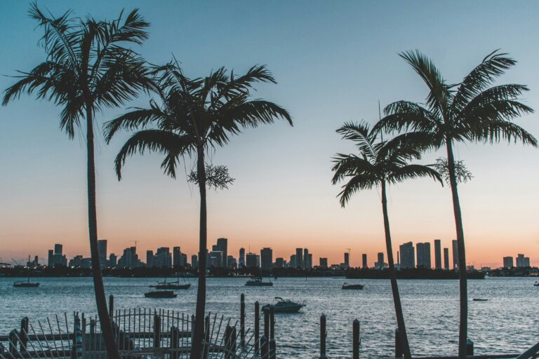 A city skyline is outlined against a sunset as boats float on the water in the foreground.