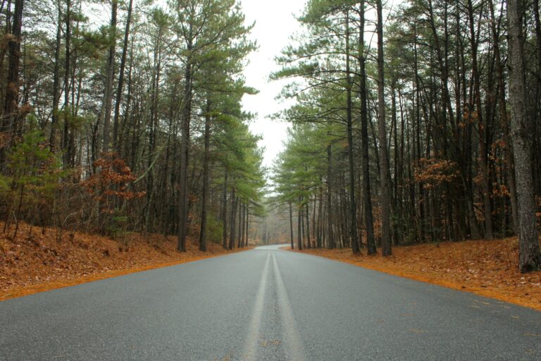 A long, black top road surrounded by sparse green trees on an overcast day.