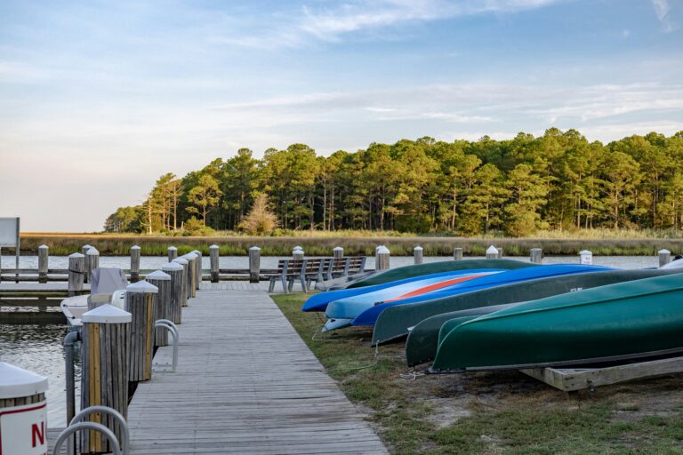 A row of boats resting on a grassy field under a cloudy sky, with hints of distant trees and soft sunlight in the background.