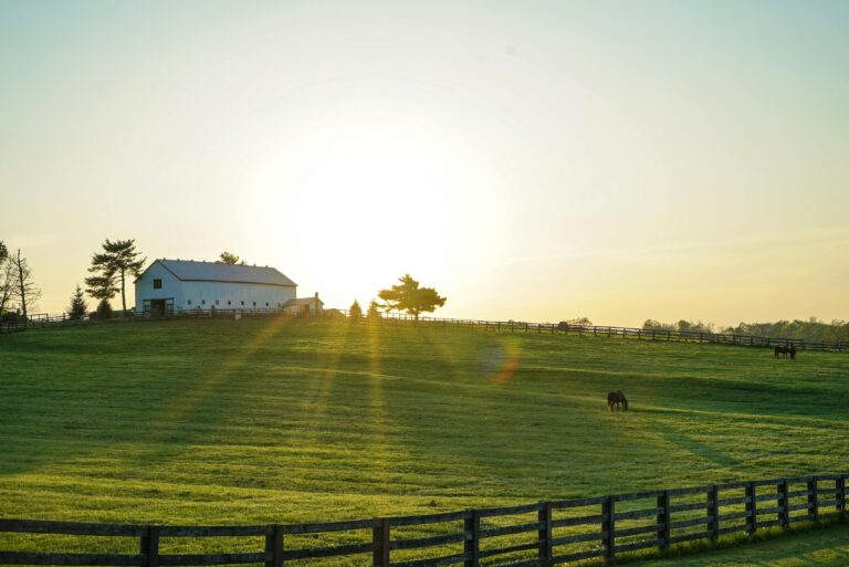 Horses graze at sunrise on a green Kentucky field with a black fence in the foreground and a white barn in the background.