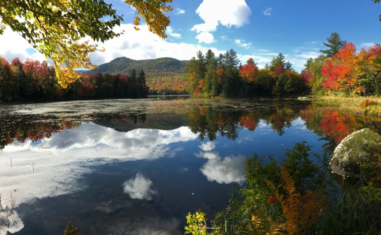 A mix of evergreen trees and fall foliage surrounds a peaceful lake that reflects a blue sky with white clouds against a backdrop of green hills.