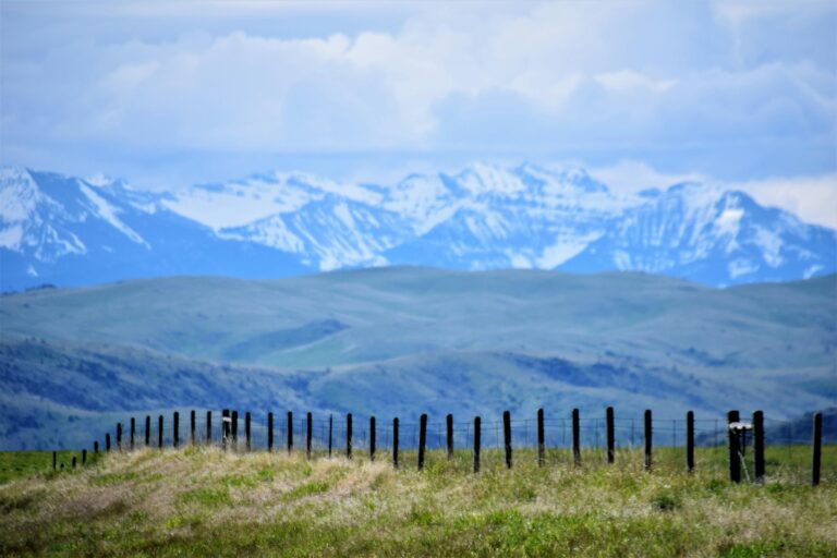 Snow-capped mountains rise behind rolling grasslands and wooden fence posts.