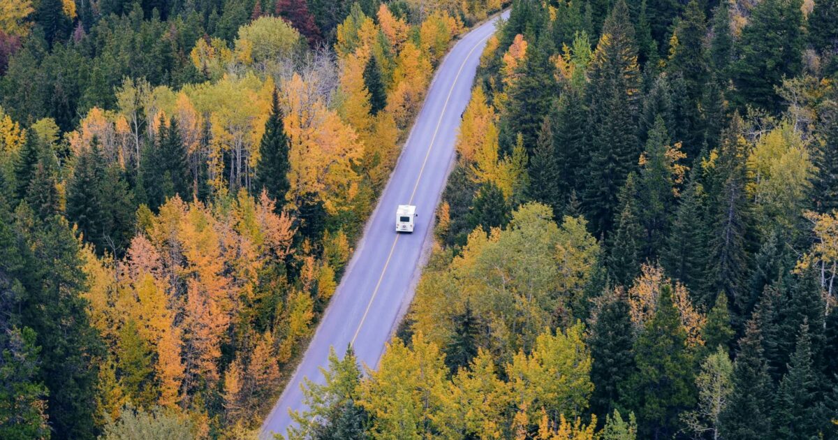 An RV traveling on a slightly curving road lined by evergreens and trees with golden fall foliage.