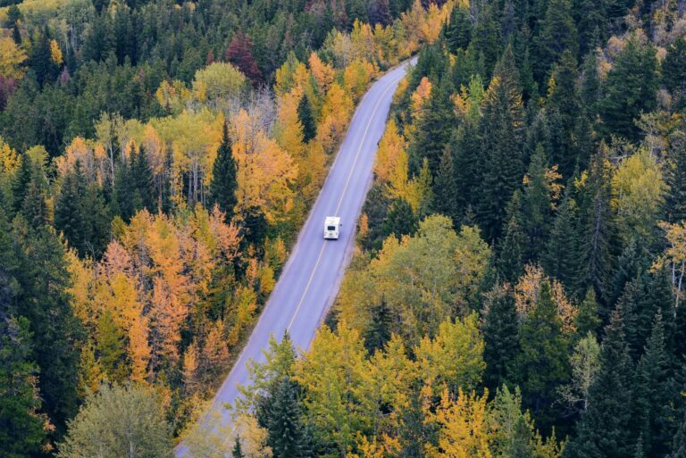 An RV traveling on a slightly curving road lined by evergreens and trees with golden fall foliage.