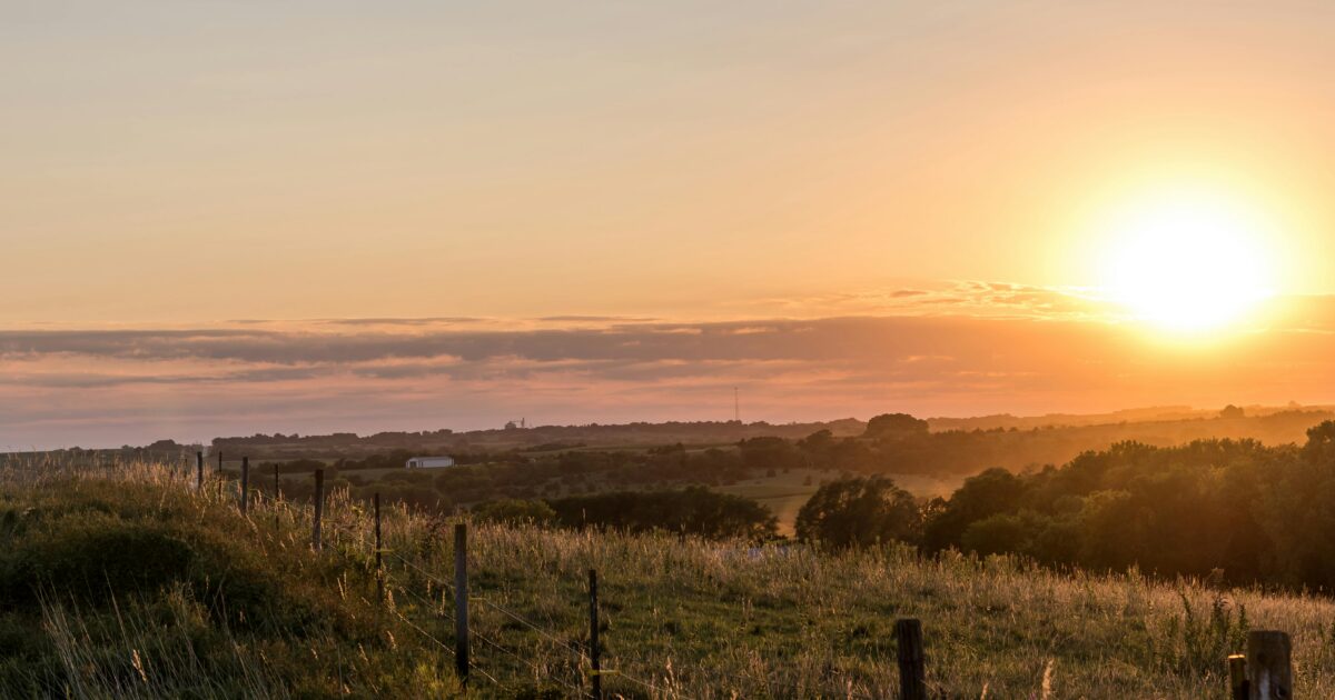 Green grass field, with rolling hills and a beautiful sunrise