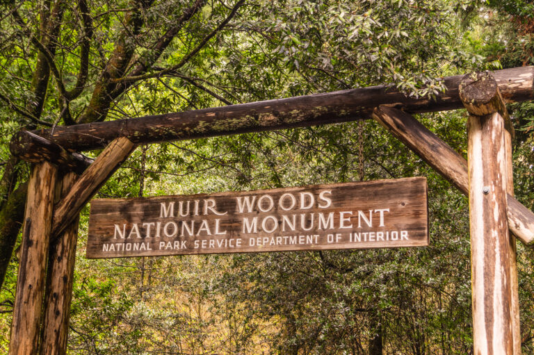 Wooden sign for Muir Woods National Monument