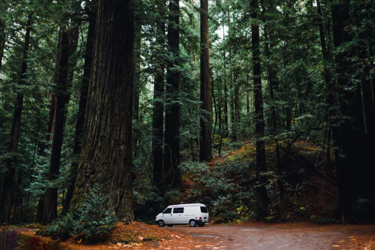 Van parked in lush Green Coastal Redwood Forest in California.