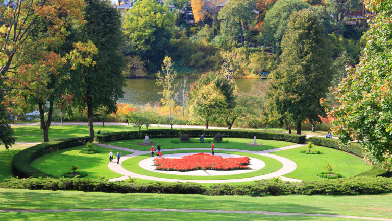 spotlighting the greenery in High Park, Toronto